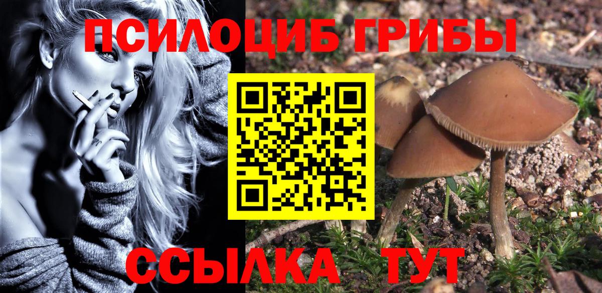 Петровск  Псилоцибиновые грибы ЛСД  где продают   Вход с VPN 