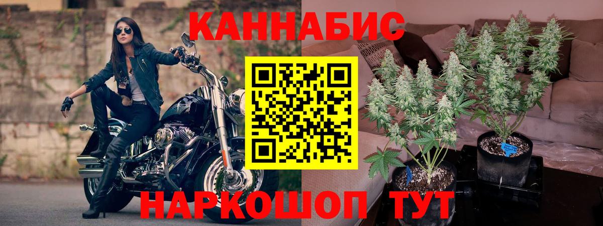 Бошки Шишки индика  Вход с VPN  Петровск  Бошки Шишки сатива 